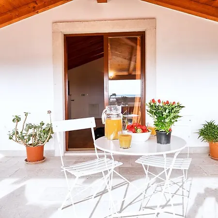 Villa Vila Nikolina *